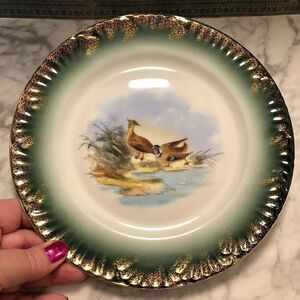 Vintage Carlsbad Austria Hand Painted Duck Scene Plate